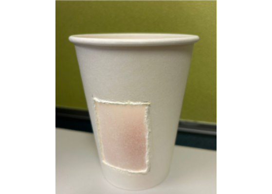 Polyethylene [PE] lining cup